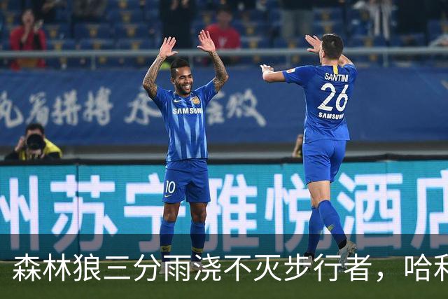 森林狼三分雨浇不灭步行者，哈利伯顿复出依旧无力回天