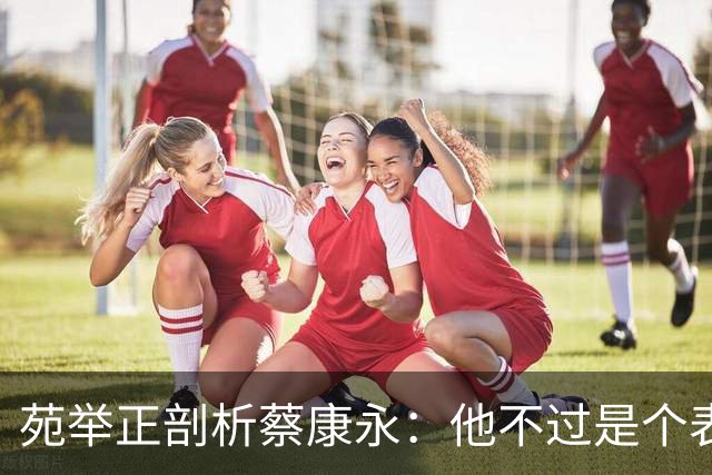 苑举正剖析蔡康永：他不过是个表演者，何谈家国情怀